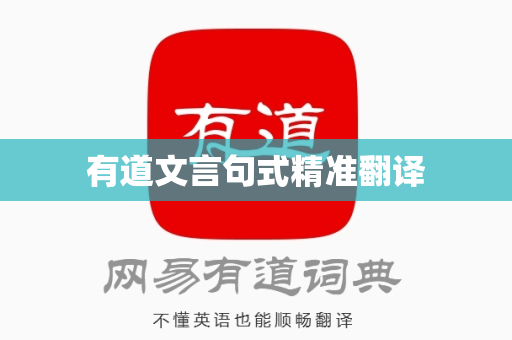 有道文言句式精准翻译