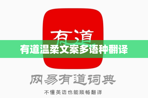 有道温柔文案多语种翻译