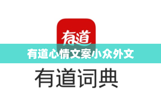 有道心情文案小众外文