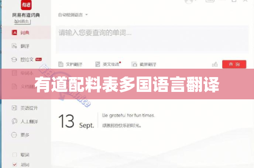 有道配料表多国语言翻译