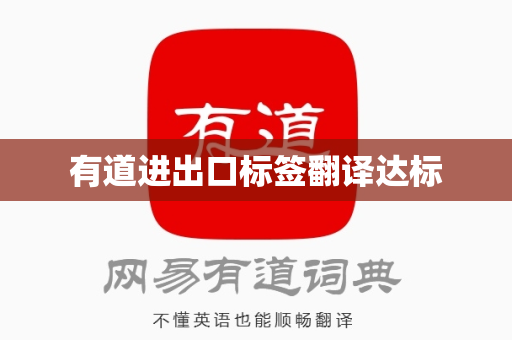 有道进出口标签翻译达标