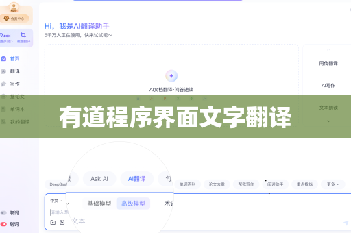 有道程序界面文字翻译