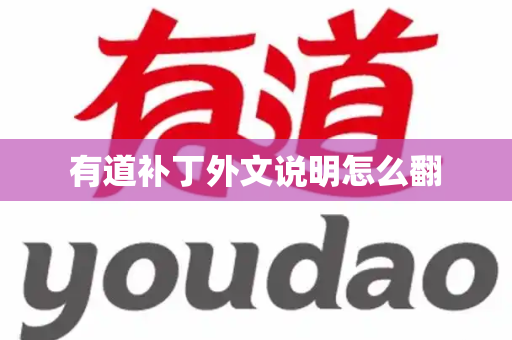 有道补丁外文说明怎么翻