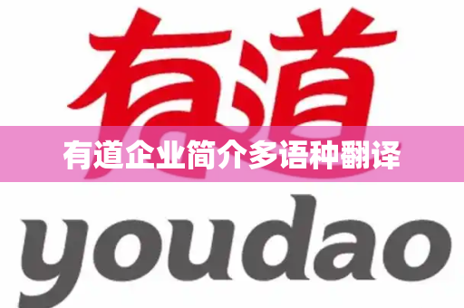 有道企业简介多语种翻译