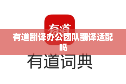 有道翻译办公团队翻译适配吗