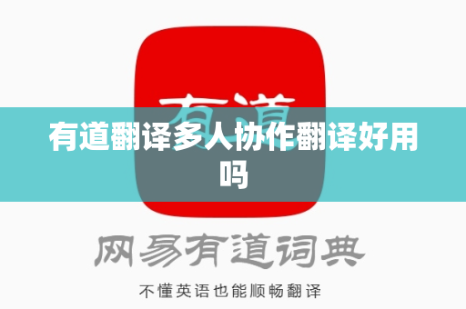 有道翻译多人协作翻译好用吗