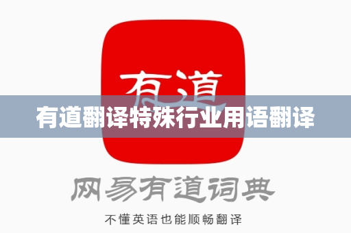有道翻译特殊行业用语翻译