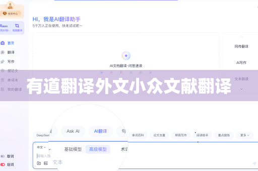 有道翻译外文小众文献翻译