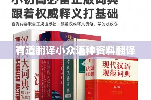 有道翻译小众语种资料翻译