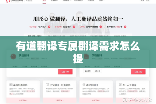 有道翻译专属翻译需求怎么提