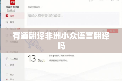 有道翻译非洲小众语言翻译吗