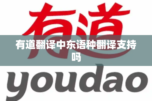 有道翻译中东语种翻译支持吗