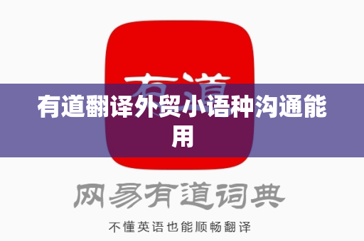 有道翻译外贸小语种沟通能用