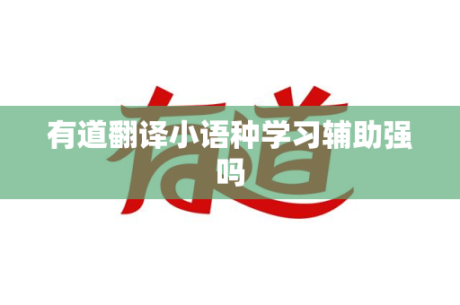 有道翻译小语种学习辅助强吗