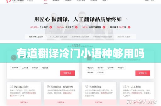 有道翻译冷门小语种够用吗