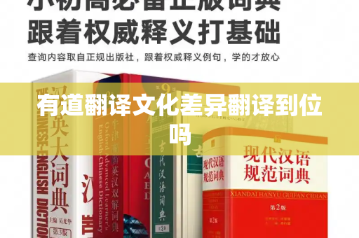 有道翻译文化差异翻译到位吗
