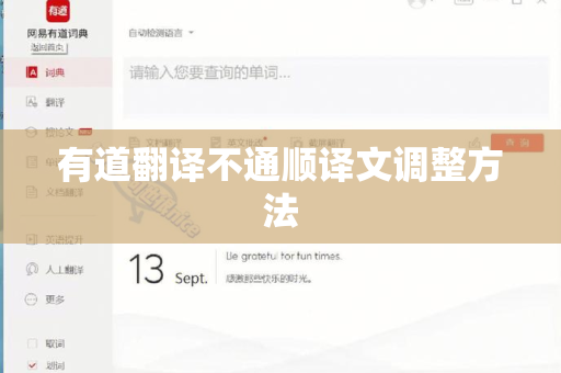 有道翻译不通顺译文调整方法