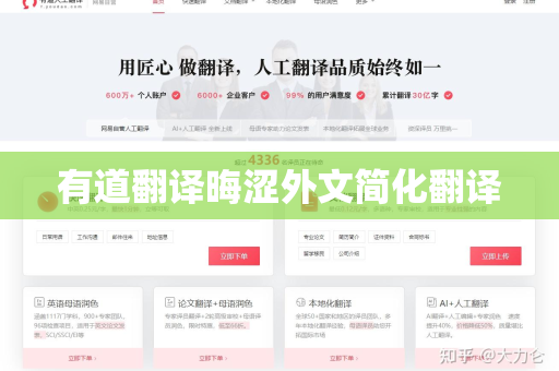 有道翻译晦涩外文简化翻译