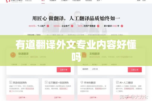 有道翻译外文专业内容好懂吗