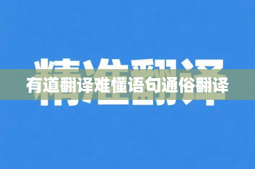 有道翻译难懂语句通俗翻译