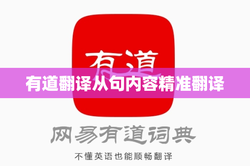 有道翻译从句内容精准翻译