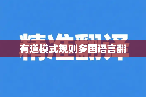 有道模式规则多国语言翻