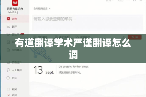 有道翻译学术严谨翻译怎么调