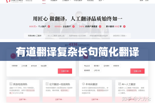 有道翻译复杂长句简化翻译