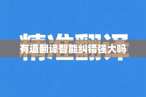 有道翻译智能纠错强大吗
