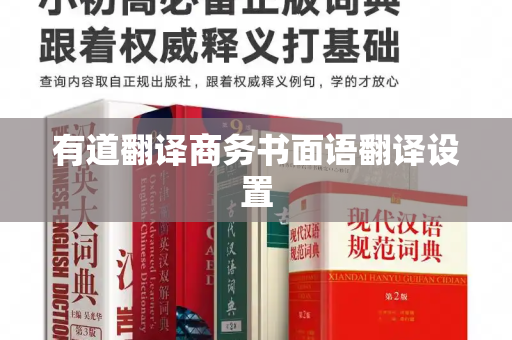 有道翻译商务书面语翻译设置