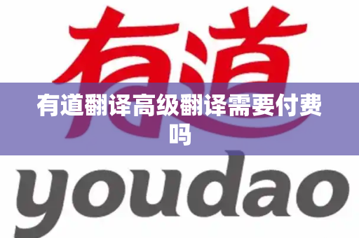 有道翻译高级翻译需要付费吗