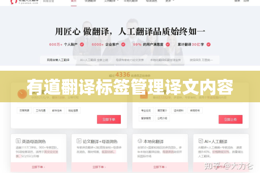 有道翻译标签管理译文内容