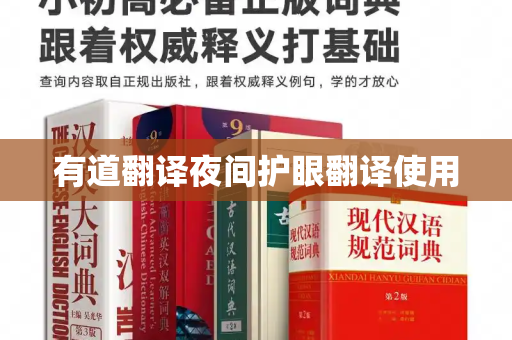 有道翻译夜间护眼翻译使用