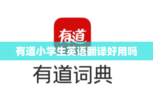 有道小学生英语翻译好用吗