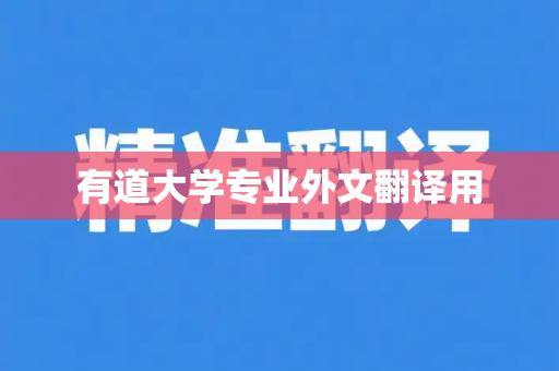 有道大学专业外文翻译用