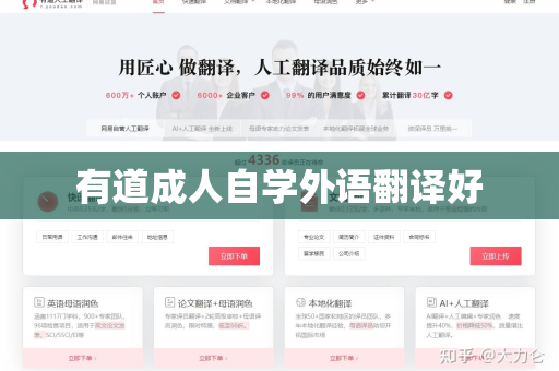 有道成人自学外语翻译好