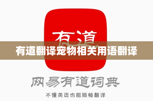 有道翻译宠物相关用语翻译