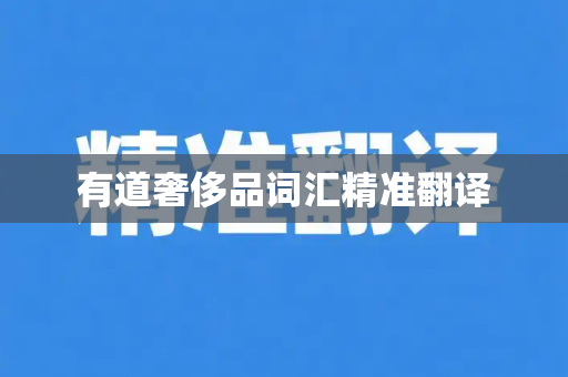 有道奢侈品词汇精准翻译