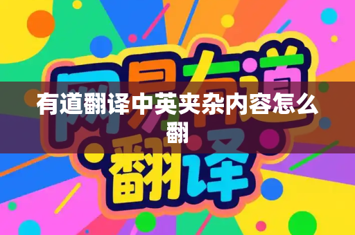 有道翻译中英夹杂内容怎么翻