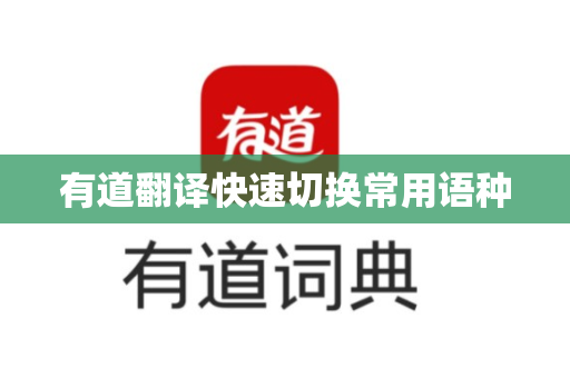 有道翻译快速切换常用语种