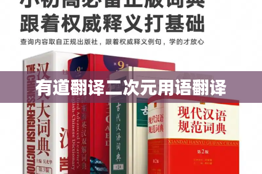 有道翻译二次元用语翻译