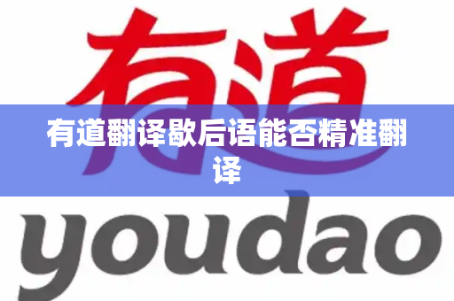 有道翻译歇后语能否精准翻译