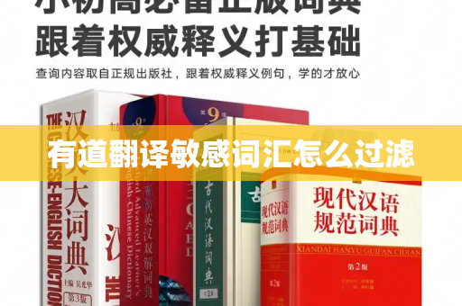 有道翻译敏感词汇怎么过滤