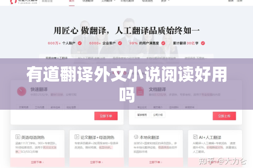 有道翻译外文小说阅读好用吗