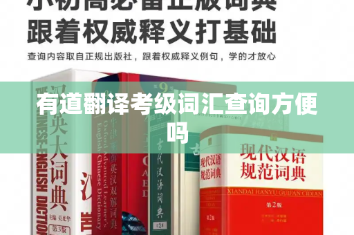 有道翻译考级词汇查询方便吗