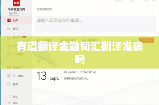 有道翻译金融词汇翻译准确吗
