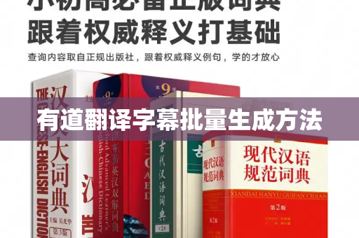有道翻译字幕批量生成方法