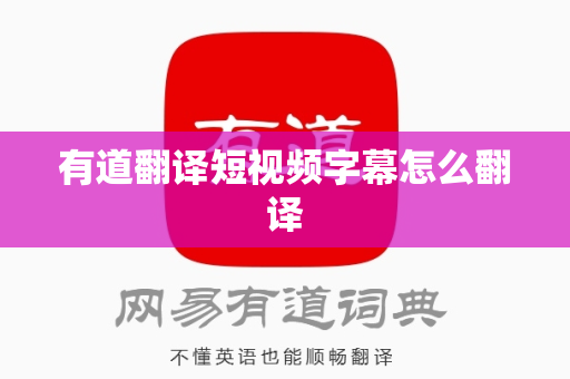 有道翻译短视频字幕怎么翻译