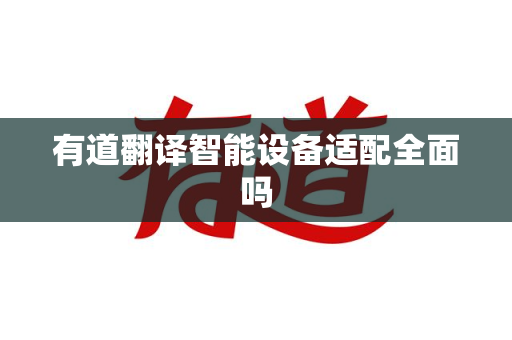 有道翻译智能设备适配全面吗