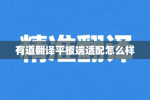 有道翻译平板端适配怎么样